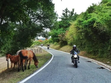 Las mejores rutas en moto por Navarra carreteras imprescindibles para disfrutar sobre dos ruedas